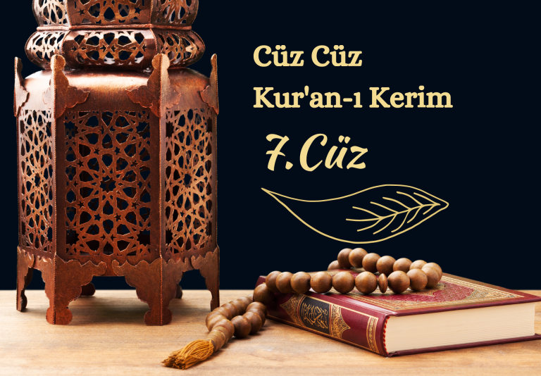 Yedinci Cüz
